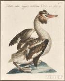 XAVIER NOIR FRANCOIS 1908-1992,Four Engraved Ornithological Prints,Skinner US 2016-10-30