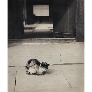 YAGAKI Shikanosuke 1897-1966,Cat,1930,Phillips, De Pury & Luxembourg US 2017-04-04