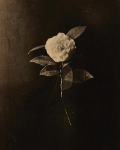 Prices and estimates of works Masao Yamamoto