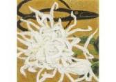 YASUSHI Sugiyama 1909-1993,Chrysanthemum,Mainichi Auction JP 2020-02-15