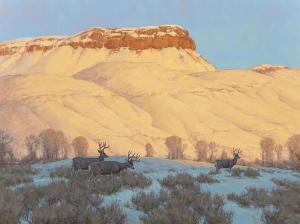 YEAGER Scott 1965,Mule Deer on Winter Range,Heritage US 2015-05-02