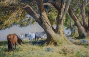 YOCKNEY Anns Kenneth 1881-1965,Ponies grazing beneath trees,Clevedon Salerooms GB 2021-12-09