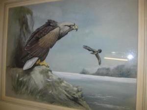 YULE Michael James 1900-1900,Tailed Sea Eagle,1969,Hartleys Auctioneers and Valuers GB 2007-12-05