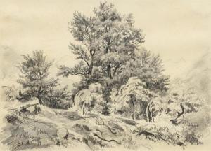 ZÜND Robert 1827-1909,Tree study,1851,Galerie Koller CH 2016-12-02