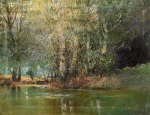ZELLER Mihaly 1859-1915,Swamp landscape,Nagyhazi galeria HU 2023-12-12