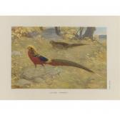 ZERBE William 1800-1900,London: Witherby for the New York Zoological Socie,Sotheby's GB 2007-10-05
