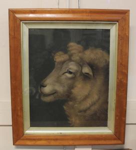 ZOBEL Benjamin 1762-1830,head of a sheep,Henry Adams GB 2023-01-25