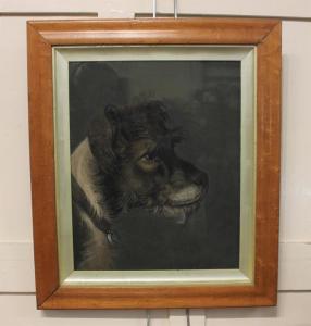 ZOBEL Benjamin 1762-1830,The head of a dog,Henry Adams GB 2023-01-25