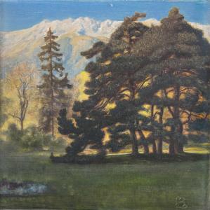 ZOTSCH Hans 1886-1957,Landschaft mit Baumgruppe im Tirolerischen,Palais Dorotheum AT 2019-02-28